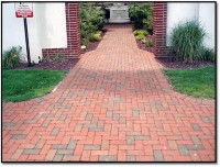 /album/galeria-de-fotos/a528773-464592383594931-1041050281-n-jpg/