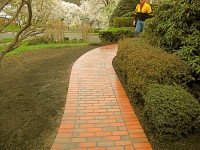 /album/galeria-de-fotos/a539928-464592180261618-770815310-n-jpg/