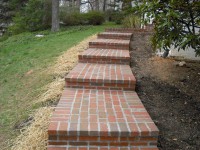 /album/galeria-de-fotos/a540013-464592276928275-1090512337-n-jpg/